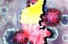 COVID-19 cases cross 5,000 in Karnataka; Two more deaths caused by virus reported on Saturday