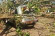 Kadaba: 2 injured as huge tree falls over vehicle, shop