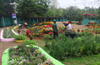 Flower, Fruit show at  Kadri Park from January 26 to 29