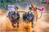 Kambala 2026-27 season schedule announced; Mysuru to host inaugural event