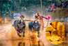 Rising gold prices add to financial strain on Kambala events