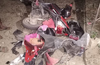 Young rider dies in bike-bus collision