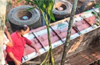 Kasargod : 4 dead, 4 injured as lorry plunges into gorge