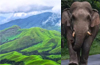Chikkamagalur: Two trampled to death by elephant in Kudremukh were waiting for rehabilitation