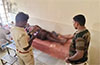 Leopard attacks man in house courtyard in Belthangady