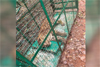 Mangaluru: Leopard trapped in Edapadavu, residents heave a sigh of relief