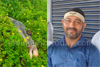 Ullal: MESCOM lineman dies after electrocution while repairing transformer