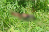 Belthangady: 27-year-old lorry driver found dead at Guruvayanakere; murder suspected
