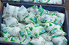 Nandini launches Rs 10 milk and curd in small packs for consumer convenience