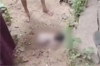Udupi: Newborn baby found abandoned in Hoode dies despite treatment