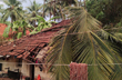 Several parts of DK receive rainfall; 7 houses damaged due to strong winds, tree fall