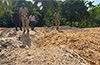 Mangaluru: 127 loads of illegal sand seized; case registered against two