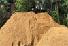 Udupi: Police raid illegal sand mining, seize vehicle and sand