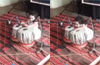 Karnataka toddler, 2, enters India Book Of Records for playing 12 taals on tabla