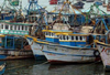 Deep-sea fishing ban along Karnataka coast from June 15