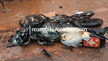 Two killed on spot in ghastly bike-lorry accident near Kaup