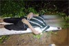 Udyavar: Man falls into canal; dies