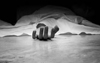 Sullia: Decomposed body of youth found in school premises