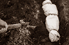 ’Buried Several Bodies’: Dharmasthala Man Confesses, Seeks Legal Protection