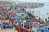 Poor Catch, Weather Disruptions Hit Dakshina Kannada Fishermen