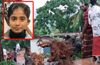 Kasaragod: Schoolgirl dies as tree falls on head in rain