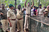 Brahmavar: Leopard falls into forest department cage in Hanehalli