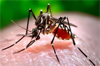 Malaria cases rise in Dakshina Kannada as inter-state workers raise fresh health concern