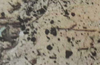Concerns raised over tar balls at Malpe Beach
