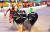 7th edition of Mangaluru Kambla kicks off with traditional fervour