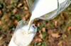 Milk price: Karnataka doesn�t raise price, but takes a unique step