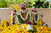 Nagara Panchami: Public Holiday Declared in Dakshina Kannada, Udupi on August 17