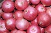 Centre to allow export of onions from March 15