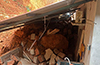 Kundapur: Landslide claims life of woman; house damaged