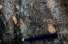 Ancient rock art discovered near Babbu Swamy Shrine in Mangaluru