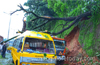 Miraculous escape for  children as tree falls over school bus near Nanthoor