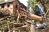 Mangaluru: Tree branch collapse in Chammar Galli damages houses, vehicles