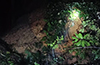 Landslide Disrupts Rail Traffic; Mangaluru–Yeshwantpur Trains Cancelled