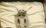Aliens on earth! Mexican lawmakers present ’Alien Remains’ in parliament