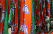 Trouble for BJP in Kerala as candidate jailed over Sabarimala row weeks ahead of polls