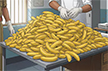 Bengaluru: Youth fed 10 kg bananas after swallowing lock-up key fearing POCSO case