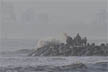 Season’s first cyclone Shakti forms over Arabian sea, IMD warns of heavy rain in Mumbai