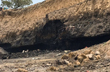3 Killed, many feared trapped as illegal coal mine collapses near Dhanbad