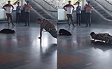 Dog does yoga with CISF personnel at Delhi metro station in viral video, Watch