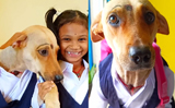 Video of dog twinning with little girl in school uniform is too cute to miss, Watch