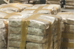 Cocaine worth 1,745 crores seized in Mumbai, Amit Shah vows ruthless action