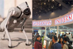 Galgotias University asked to vacate AI Summit after row over Chinese robodog: Sources