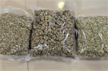 DRI busts drug syndicate; seizes Rs 72-cr worth of hydroponic weed in pan-India operation