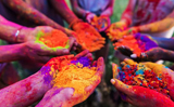 Holi 2024: Money to clothes, 7 things you must not donate