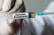48 lakh Karnataka kids to receive Japanese Encephalitis vaccine for free