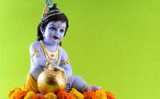 Non-vegetarian food to plucking tulsi leaves, things to avoid on Krishna Janmashtami